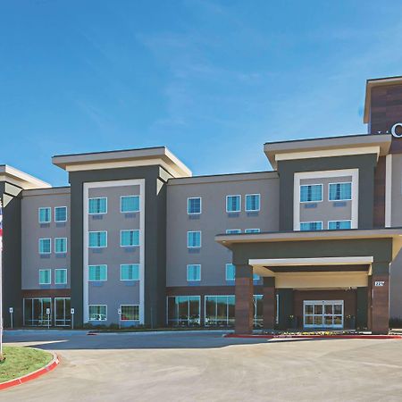 La Quinta By Wyndham Dallas - Вайлі Екстер'єр фото